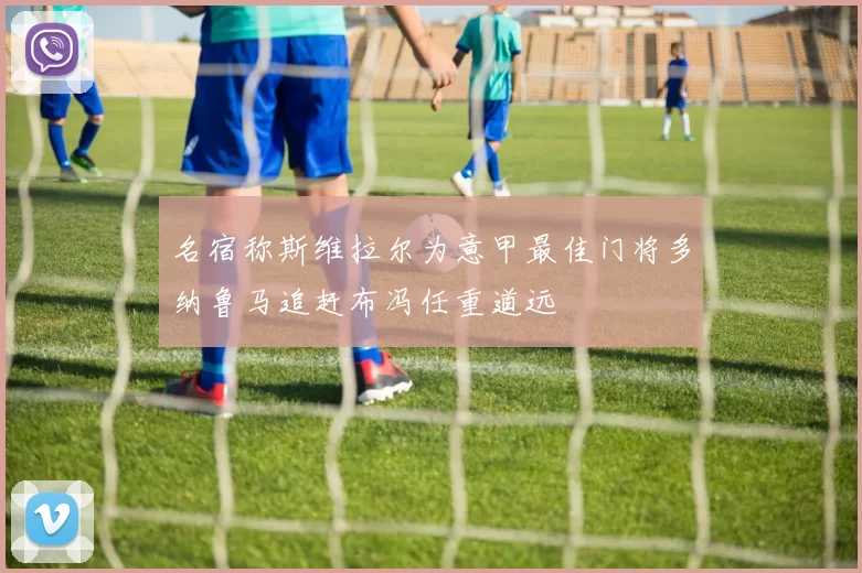 名宿称斯维拉尔为意甲最佳门将多纳鲁马追赶布冯任重道远