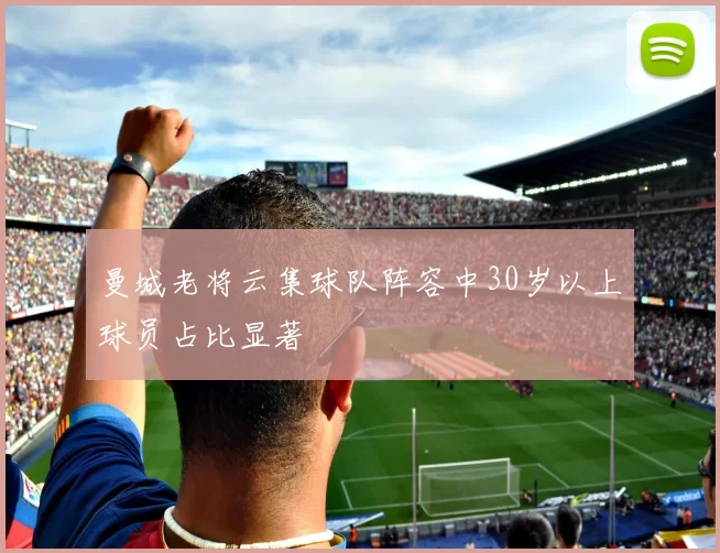 曼城老将云集球队阵容中30岁以上球员占比显著
