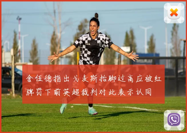 舍伍德指出戈麦斯抬脚过高应被红牌罚下前英超裁判对此表示认同